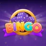 Bingo Dice